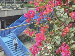 -科兴科学园