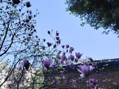 -乌山风景区