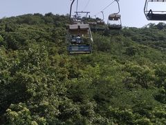 -富斯特索道