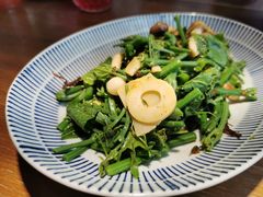 丝瓜尖拌菌菇-中8楼风尚云南菜(颐堤港店)