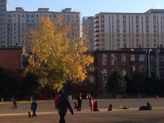 -辽宁大学(崇山校区)