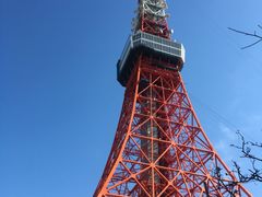 -东京塔海贼王主题公园