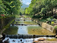 -广州白江湖森林公园