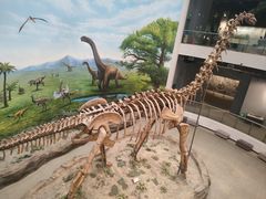 -辽宁古生物博物馆