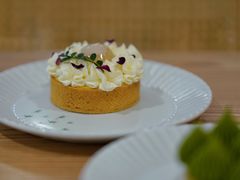 圆舞曲（玫瑰荔枝塔）-猫里有甜