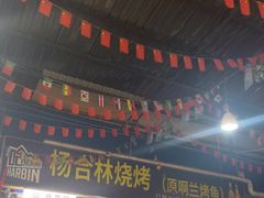 -杨合林啊兰烤鱼