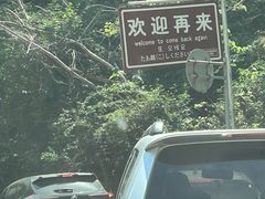-齐王寨景区