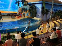 -三亚海昌梦幻海洋不夜城