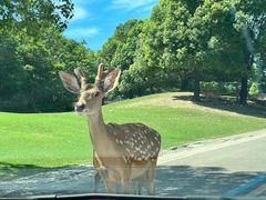 -常州淹城野生动物世界