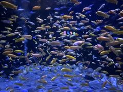 -成都浩海立方海洋公园