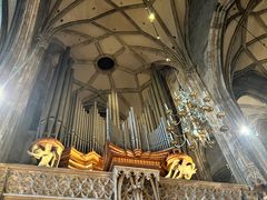 -斯蒂芬主教座堂(Stephansdom)