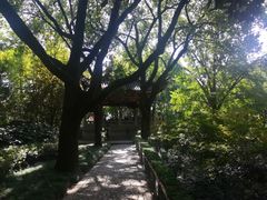 -汇龙潭