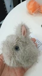 -IMON·HANSA潮玩玩偶毛绒玩具(通州万象汇店)