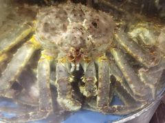 -蟹之国·精品蟹料理(极地店)