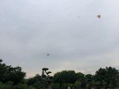-南宁南湖公园