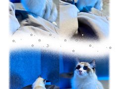 -零纪元VR体验馆·桌游(黄浦店)