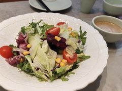 -船歌·鱼水饺青岛菜(太阳宫凯德MALL店)