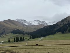 -新疆那拉提国家旅游度假区