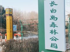 -长白岛森林公园