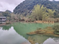 -靖西鹅泉风景区