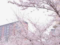 -南京明基医院