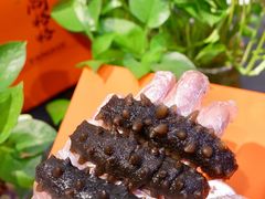 -棒棰岛辽参(长宁旗舰店)