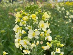 -中国天府农业博览园