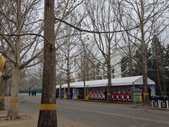 -朝阳公园游乐园