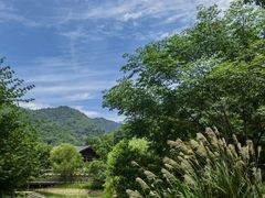 -黄公望隐居地