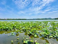 -西湖外事游船(湖滨二公园外事游船码头)