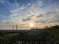 -宝安西湾红树林湿地公园