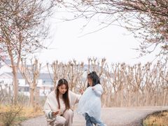 -武汉紫薇都市田园