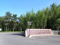 -日照海滨国家森林公园