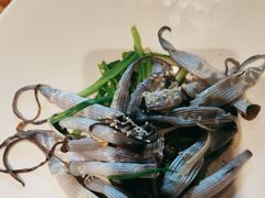 -张家卫·阳江菜·小海鲜(肥婆湾桥店)