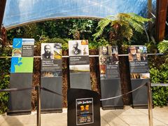 -怀托摩萤火虫洞