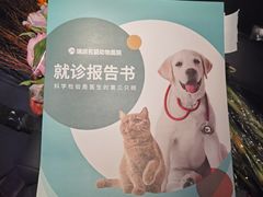 -瑞派名望志远动物医院·猫科·內科·异宠专科(直港大道店)