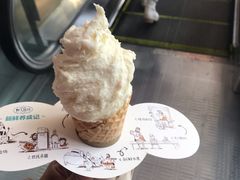 -野人先生现做冰淇淋(北京顺义祥云小镇店)