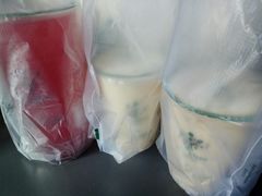 -夏树奶沫(杨柳青店)