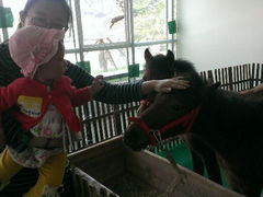 android_upload_pic-乐融婴幼儿成长中心(四季青校区)