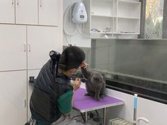 -中农国际动物医院24小时·猫科·骨科·急重症中心
