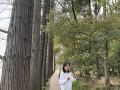 -东湖落雁景区