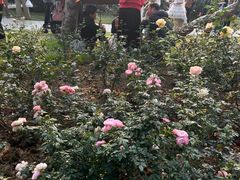 -人民公园(罗湖区)