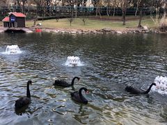 -徐家汇源景区-衡山公园