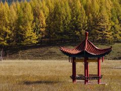 -塞罕坝国家级自然保护区