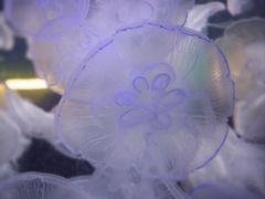 -横店影视城梦幻谷园区