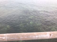 -长滩岛登岛码头