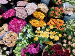 -双季花艺园艺市场(浦东店)