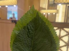-笑谈小街·韩国料理(萝岗店)