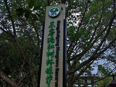 -东寨港红树林旅游区