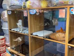 -FAELING PETS美天灵宠物(富力广场店)